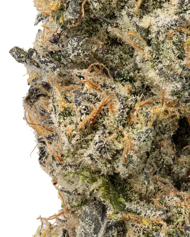 WNC: Sticky Purple THCa Flower