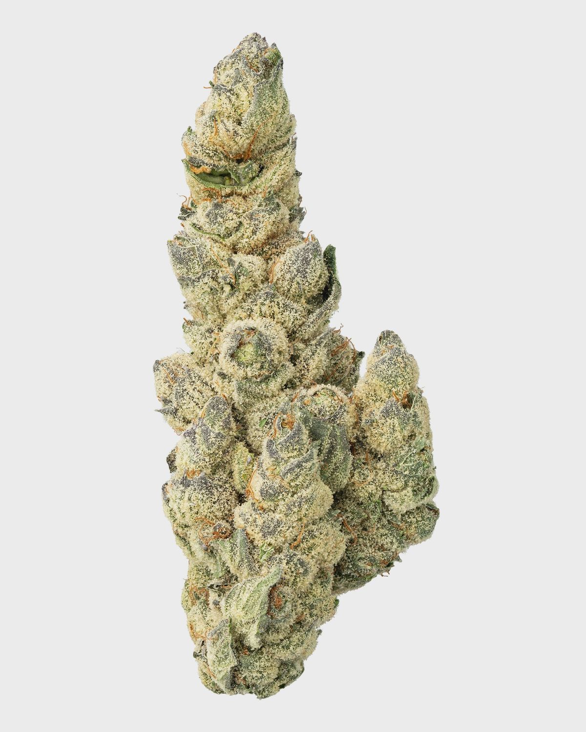 WNC: Sour Diesel THCa Flower