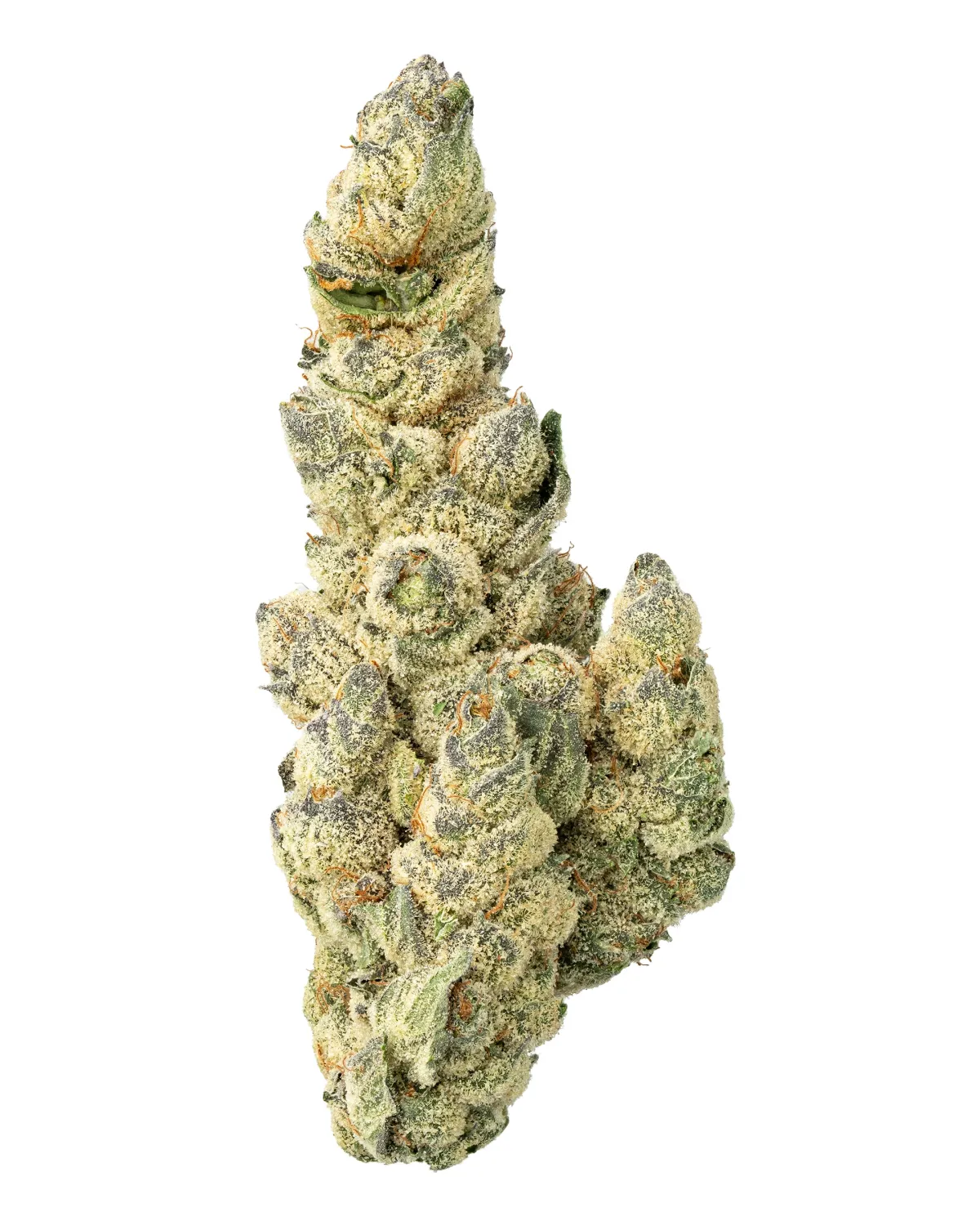 WNC: Sour Diesel THCa Flower