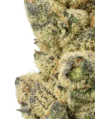 WNC: Sour Diesel THCa Flower