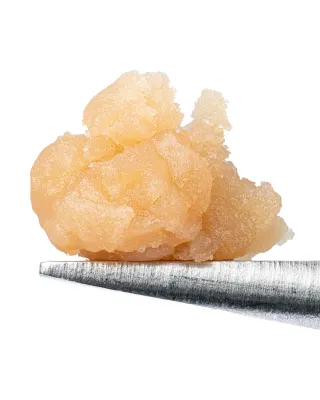 WNC: Sherb Cocktail #7 THCa Live Rosin - 1g