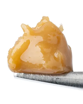 WNC: Headband Haze THCa Live Rosin - 1g