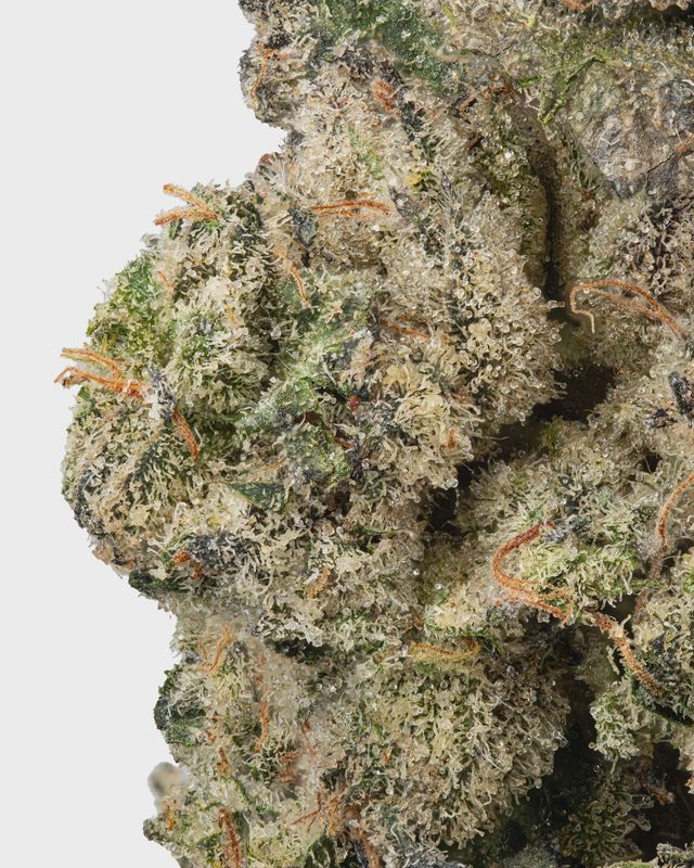 WNC: Purple Churro THCa Flower