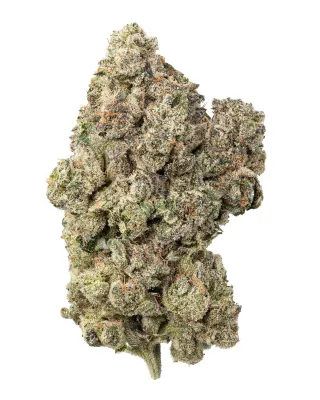 WNC: Purple Churro THCa Flower
