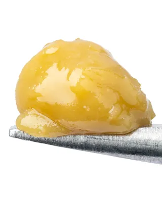 WNC: Gary Payton THCa Live Rosin - 1g