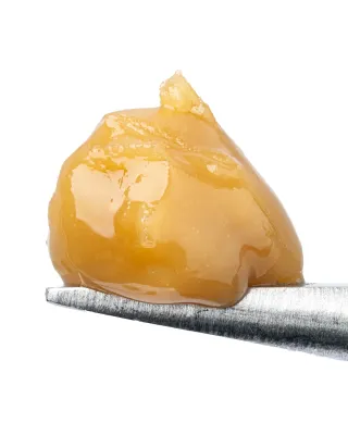 WNC: Durban Poison THCa Live Rosin - 1g