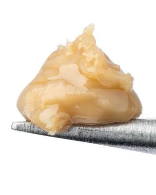WNC: Gorilla Cookies THCa Live Rosin - 1g