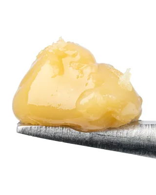 WNC: Jungle Lava THCa Live Rosin