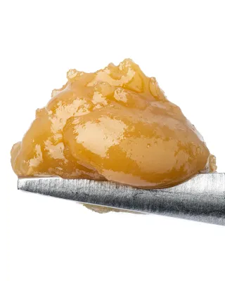WNC: King Louis XIII THCa Live Rosin - 1g