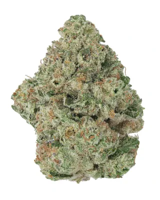WNC: Modified Grapes THCa Flower - 1oz