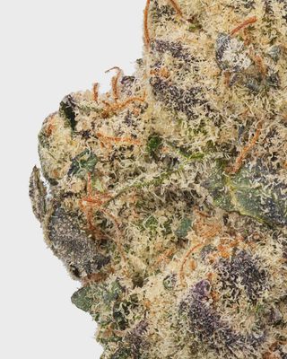 WNC: Ben &amp; Gary's THCa Flower