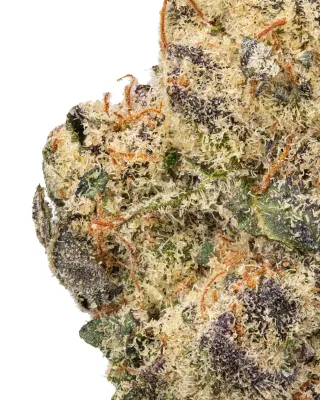 WNC: Ben &amp; Gary's THCa Flower
