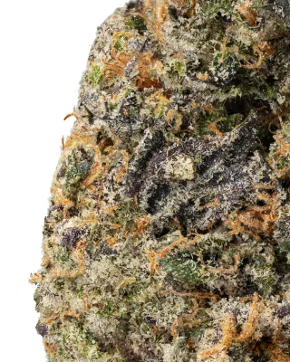 WNC: Mendo Creme THCa Flower