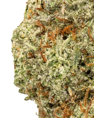 WNC: Greasy Runtz THCa Flower