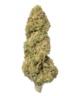 WNC: Mimosa THCa Flower - 1oz