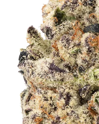 WNC: Punch Breath THCa Flower