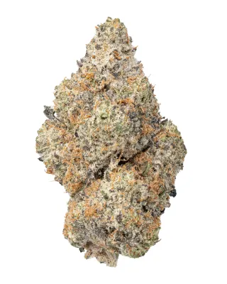 WNC: Blue Lobster THCa Indoor Living Soil Flower - 14g
