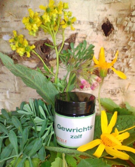 Gewrichtszalf