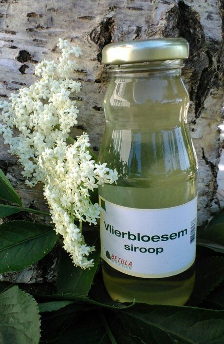 Vlierbloesemsiroop