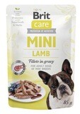 Brit Care Mini Pouch Lamfilet in jus 85 g