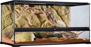 Terrariums