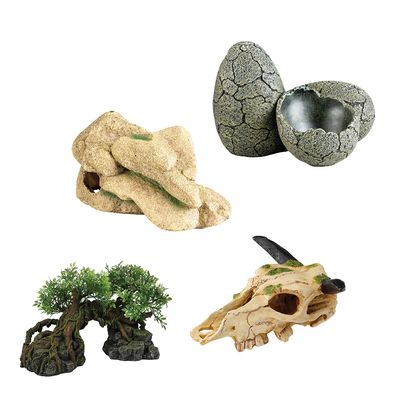 Decoratie & Inrichting terrarium 