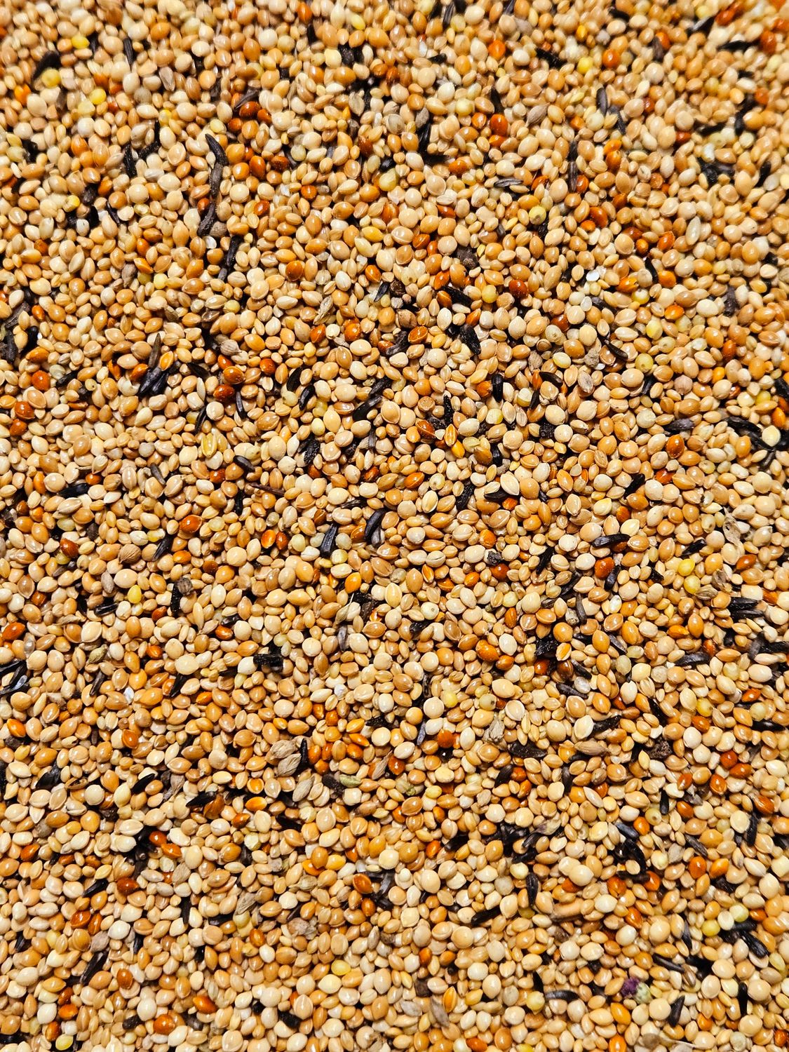 Exoten 20kg