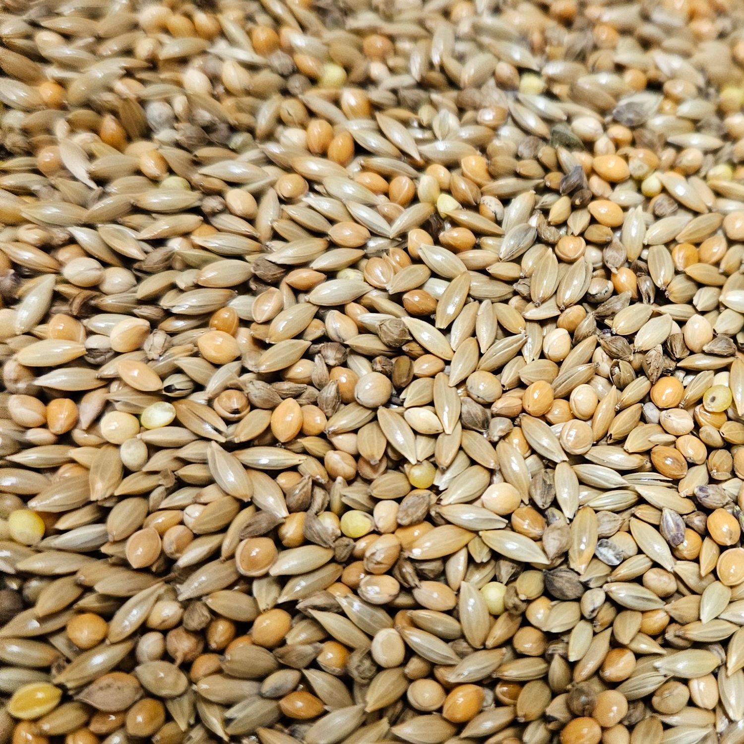 Millet Mix 20kg