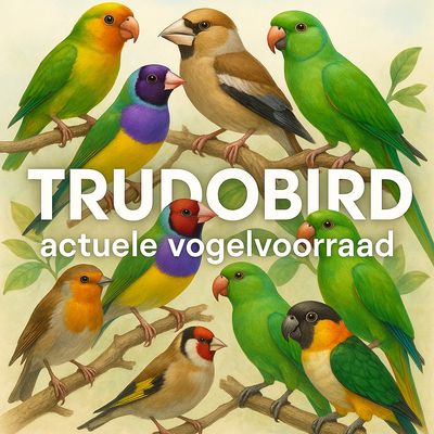 VOORRAADLIJST VOGELS