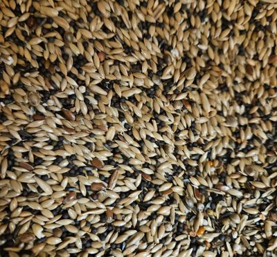 Kanarie super 20kg Kanarie super 20kg