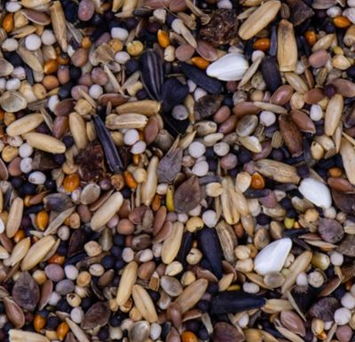 Goudvinken Plus 212 - Jack Bloemen mengeling - 20 kg