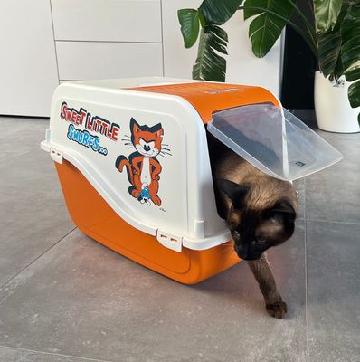 Kattenbakken