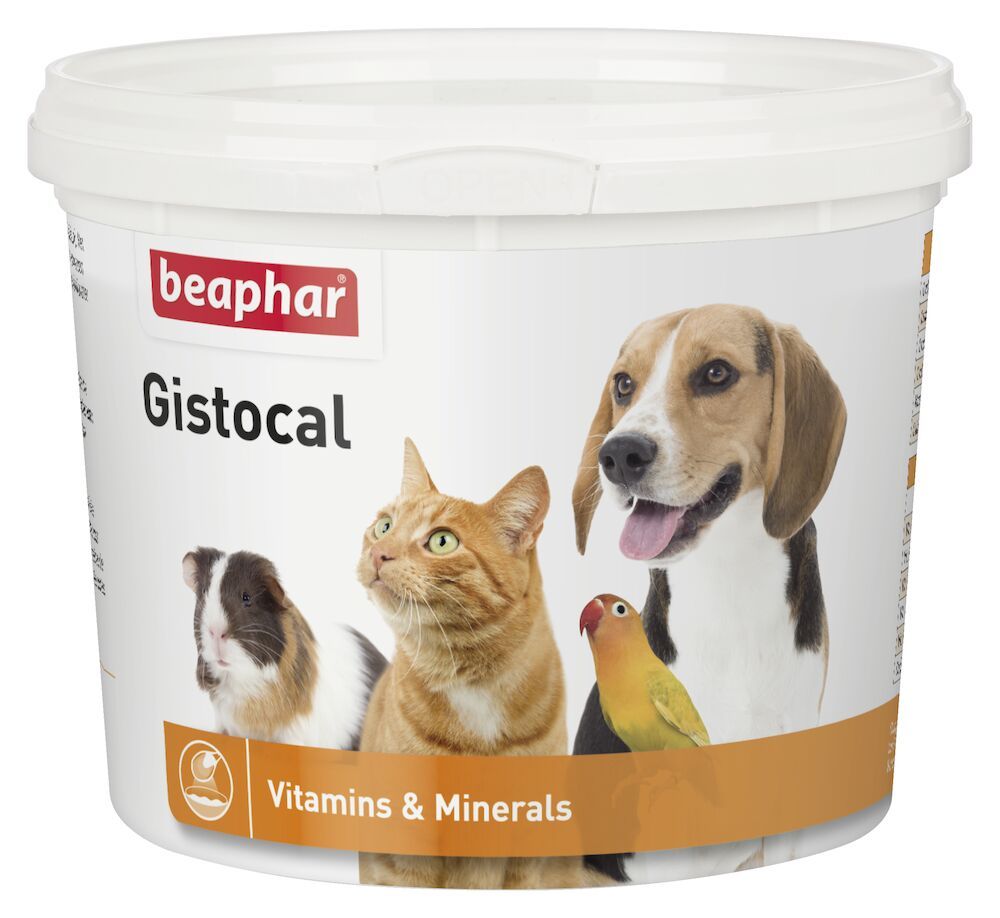 Gistocal 500 gram