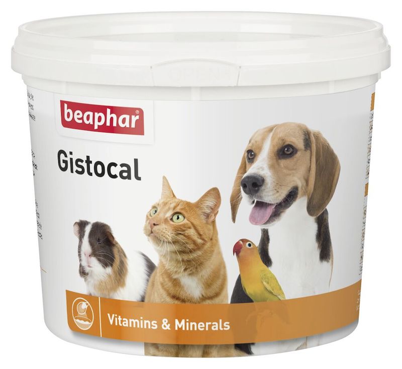 Gistocal 500 gram
