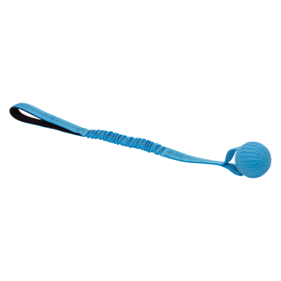 Playscent-bal met bungee touw blauw-blue- U - bacon (one size)