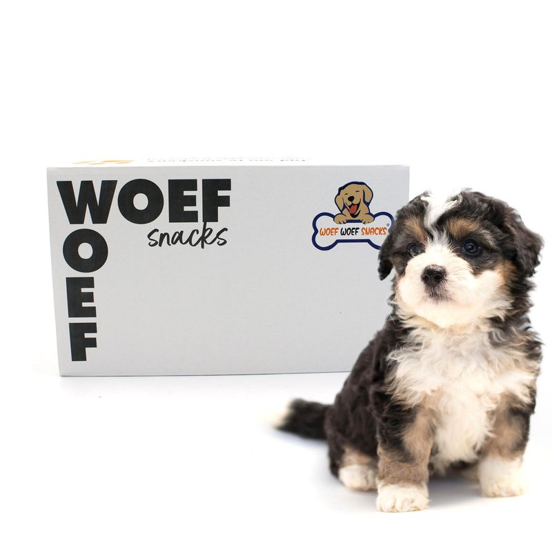 Puppy Box snacks Puppy Box snacks