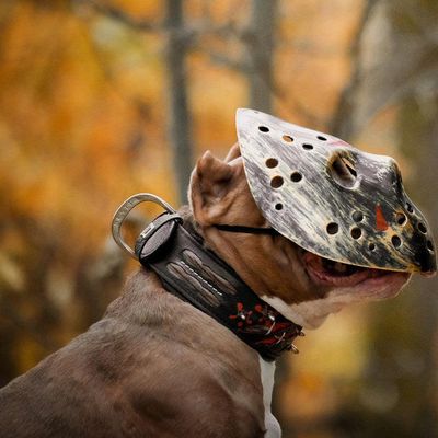The "Haunted'' collar LIMITED M-XXL