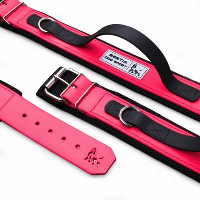 BESTIA DOG SPORT HANDLE COLLAR NEON PINK M-XXL
