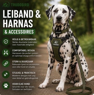Leiband, Halsband, Harnas, Accessoires