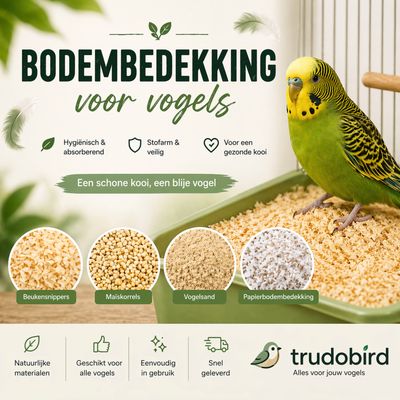 Bodembedekking