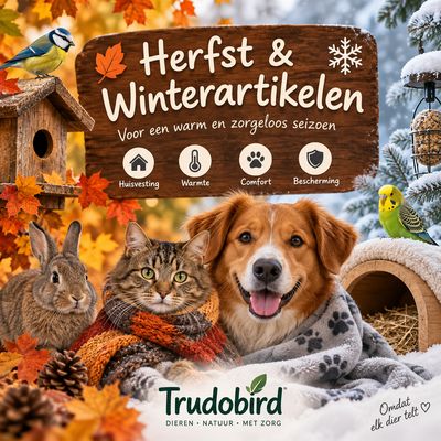 HERFST/WINTER ARTIKELEN