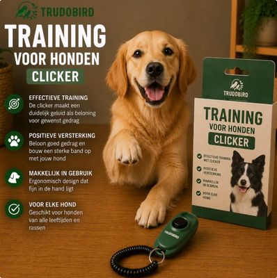 Training