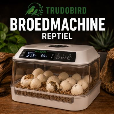 Broedmachines