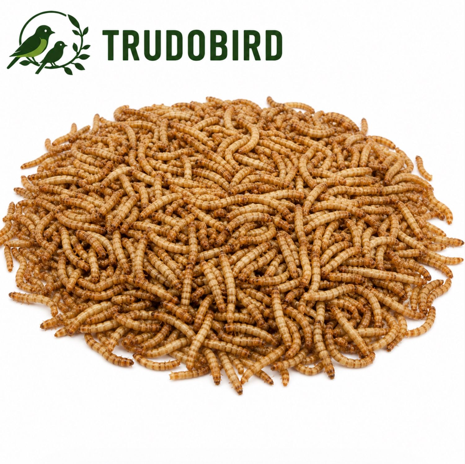 Levende meelwormen 100gr