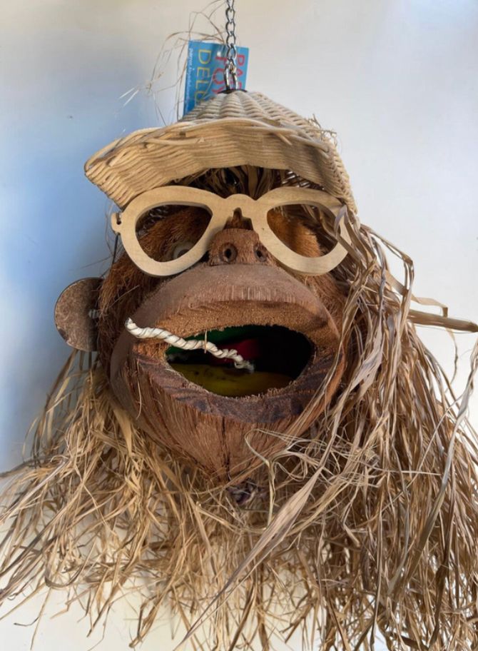 Speelgoed monkey with glasses