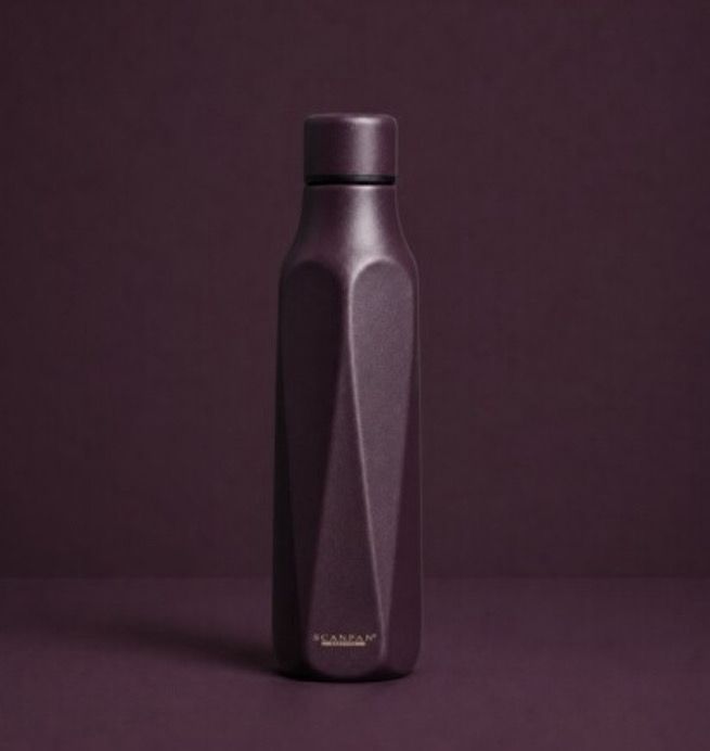 SCANPAN 500 ml Explore vacuum bottles