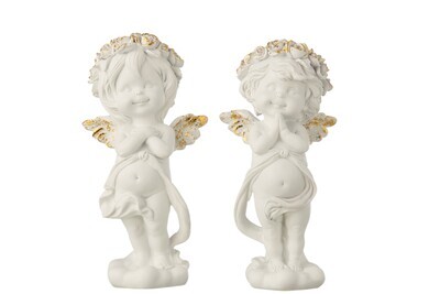 Angel Praying Poly White/Gold Assortment Of 2