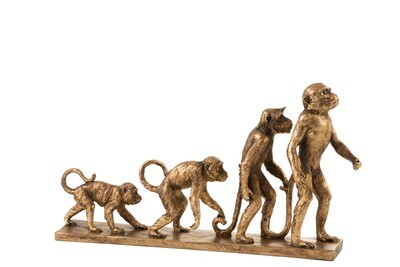 Ape Evolution Poly Antique Gold
