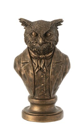 Bust Owl Poly Bronze Large