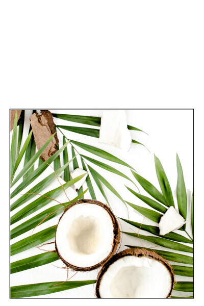 Pack 20 Napkins Coconuts Paper Green Large
